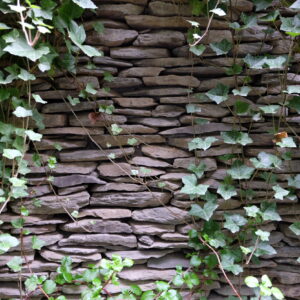 Kamień cięty jednostronnie „10” (ok. 194 zł brutto/m2)