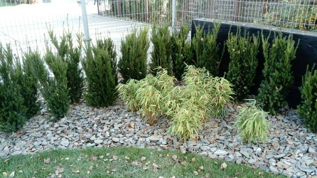 Kora kamienna - sort 30-65 mm - obrazek 5