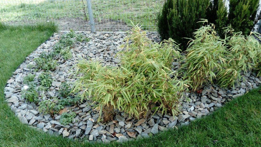 Kora kamienna - sort 30-65 mm