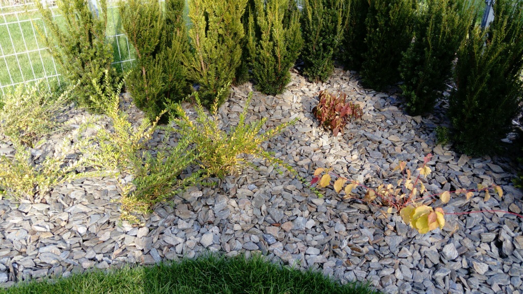 Kora kamienna - sort 30-65 mm - obrazek 4