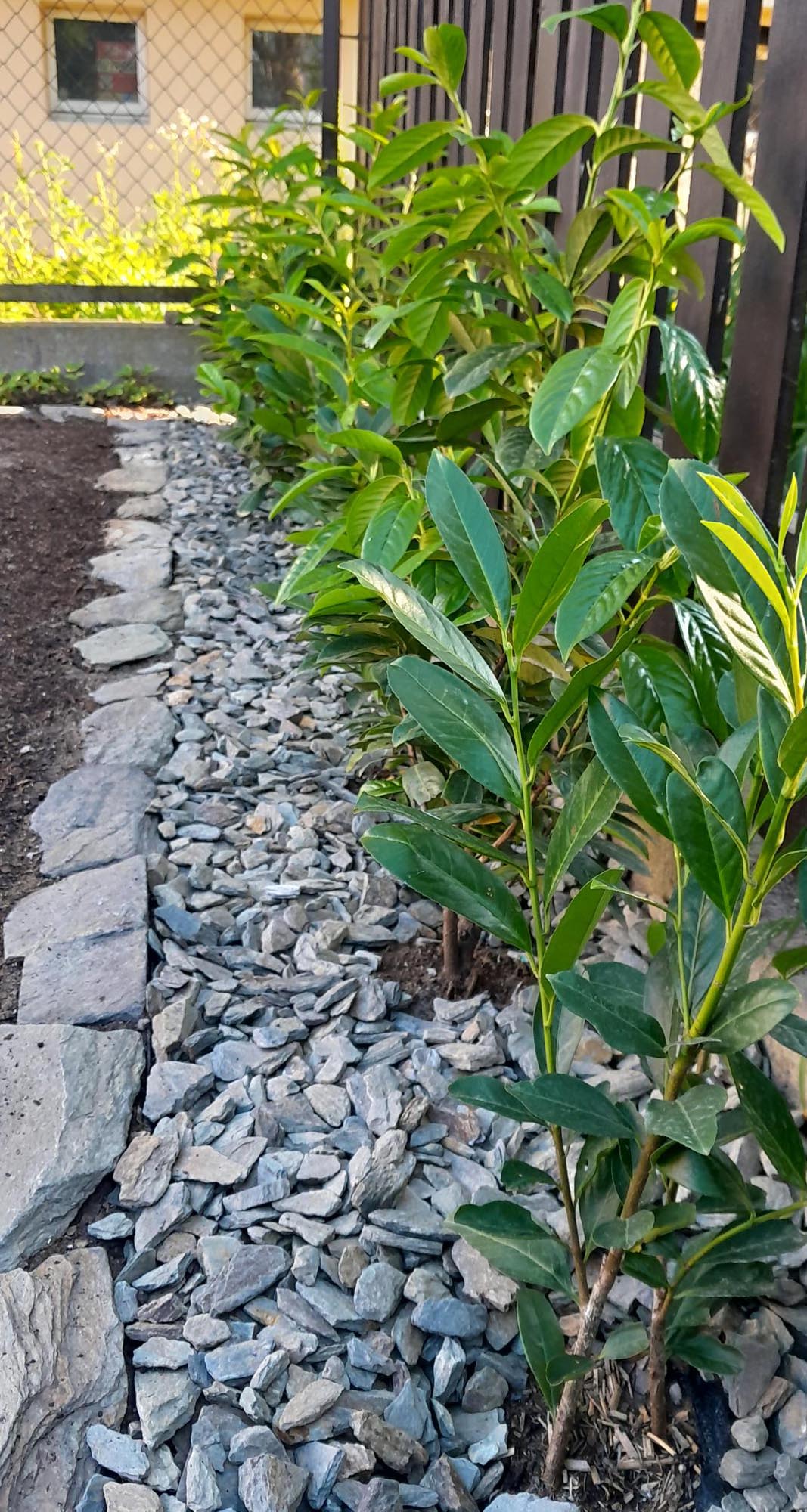 Kora kamienna - sort 18-40 mm - obrazek 13