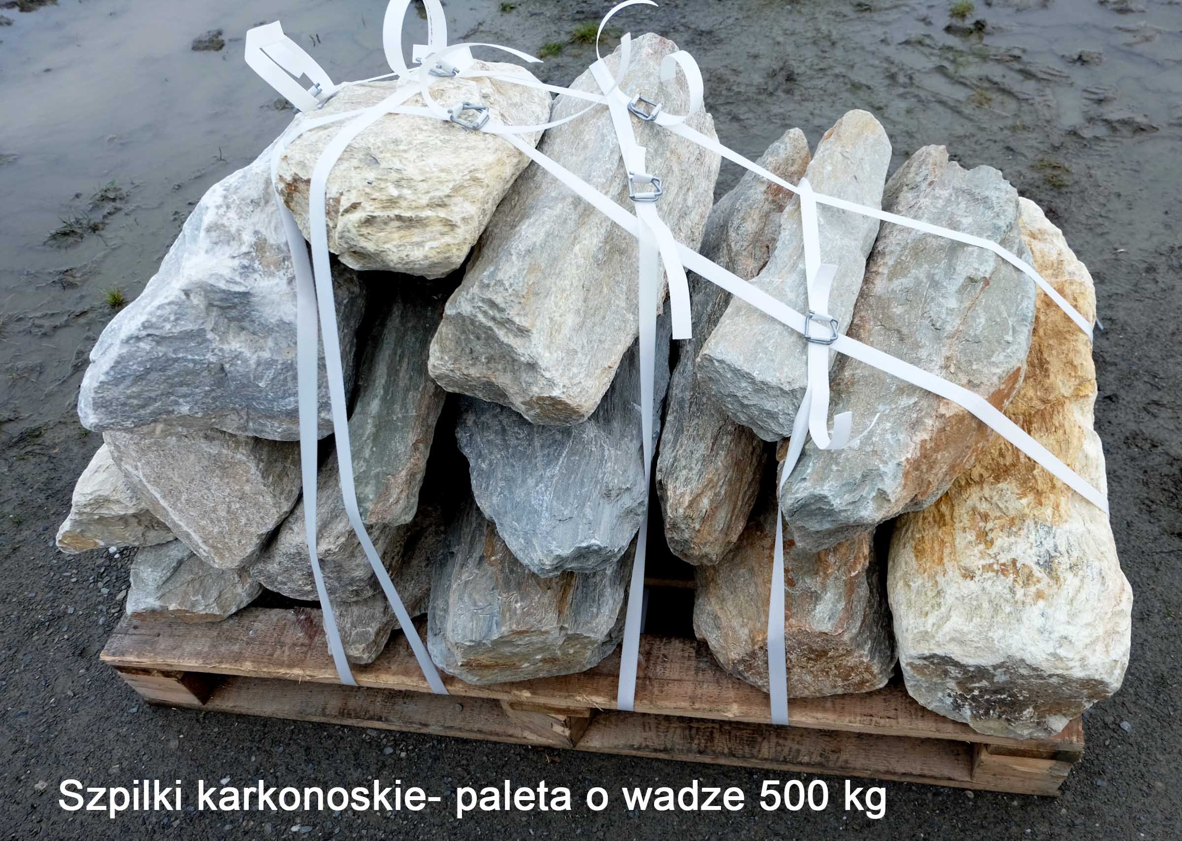 "Szpilki karkonoskie dłuższe" - cena za paletę o wadze 500 kg - obrazek 2