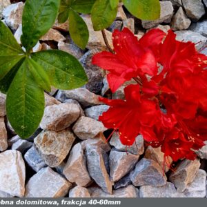 Grys ozdobny – dolomit (frakcja 40-60mm)