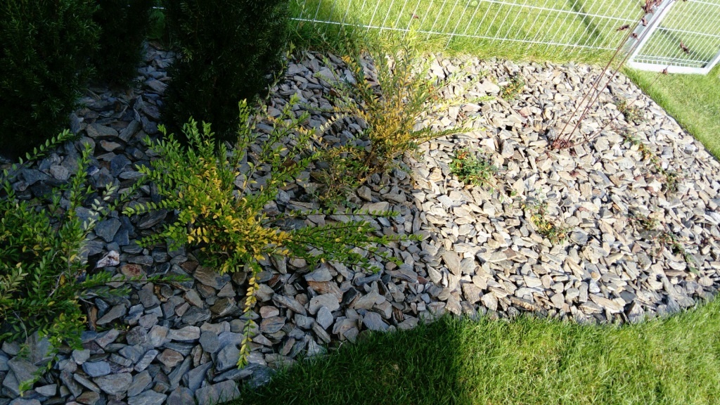 Kora kamienna - sort 30-65 mm - obrazek 3