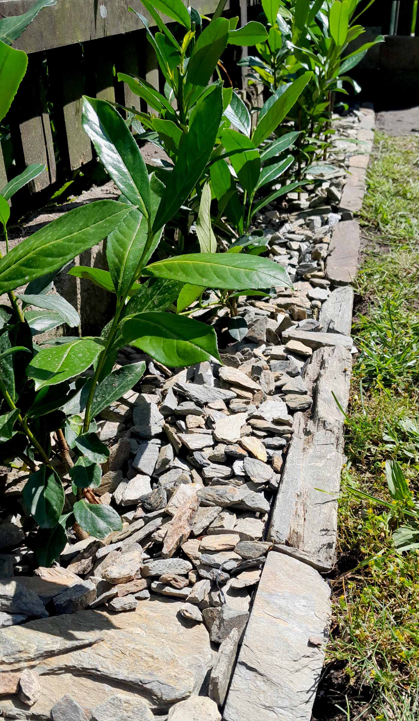 Kora kamienna - sort 18-40 mm - obrazek 4