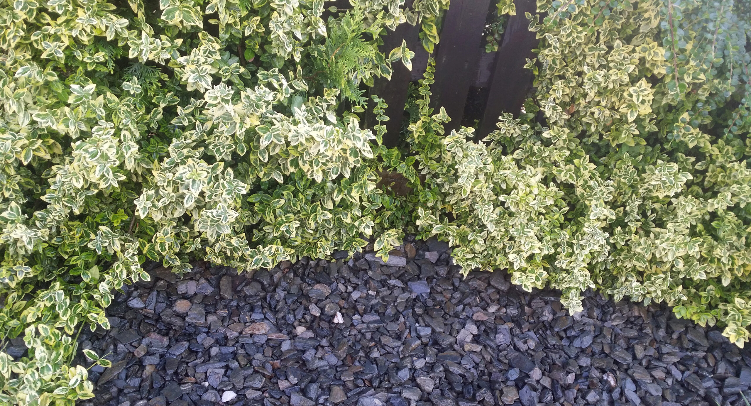 Kora kamienna - sort 18-40 mm - obrazek 7