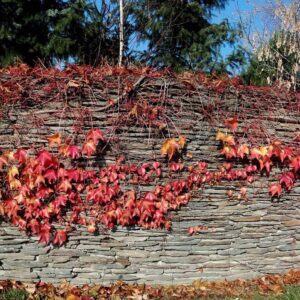 Kamień murowy mniejszy (w big-bagu na palecie)