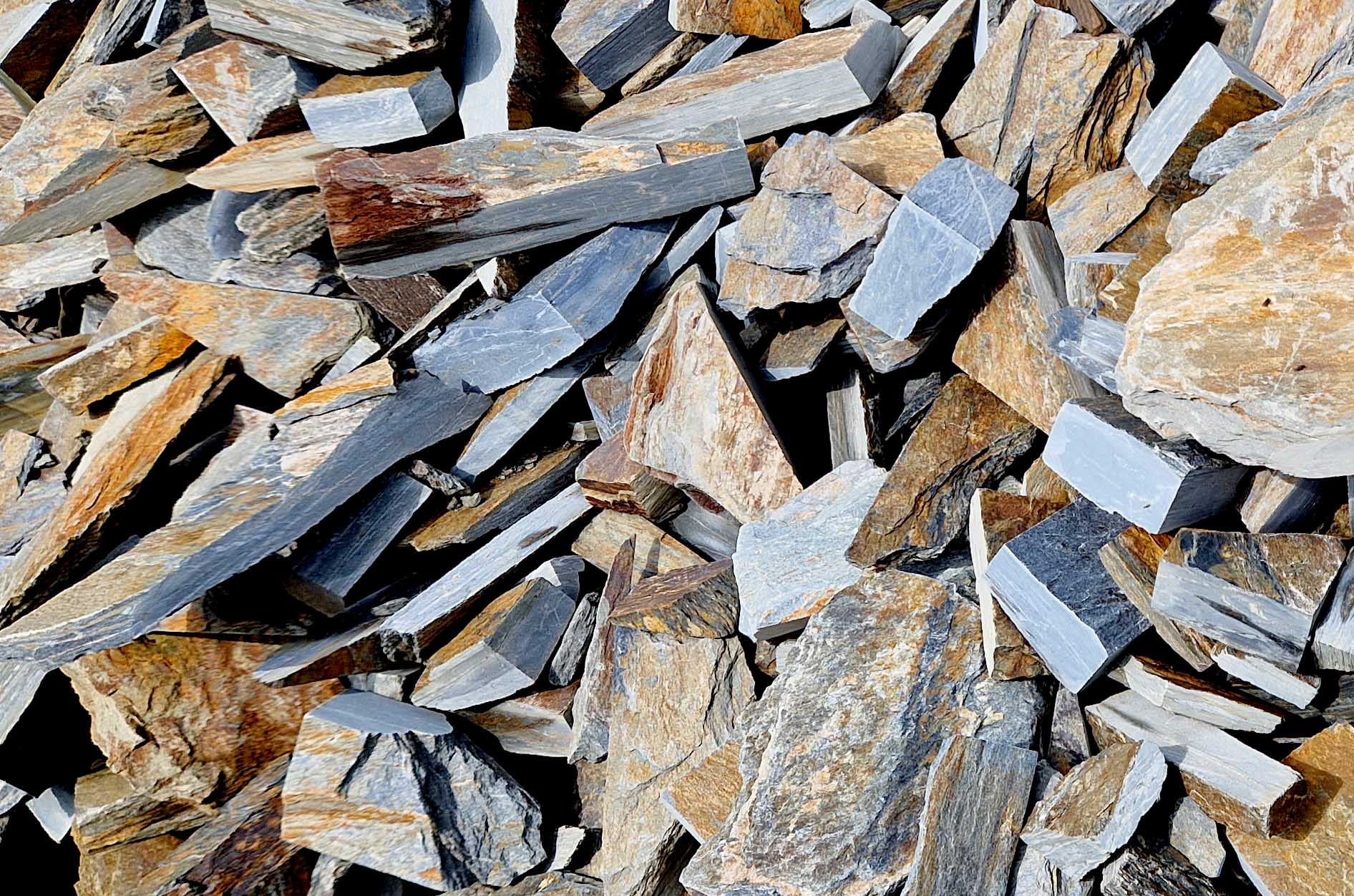 Obrzyn kamienny - obrazek 4