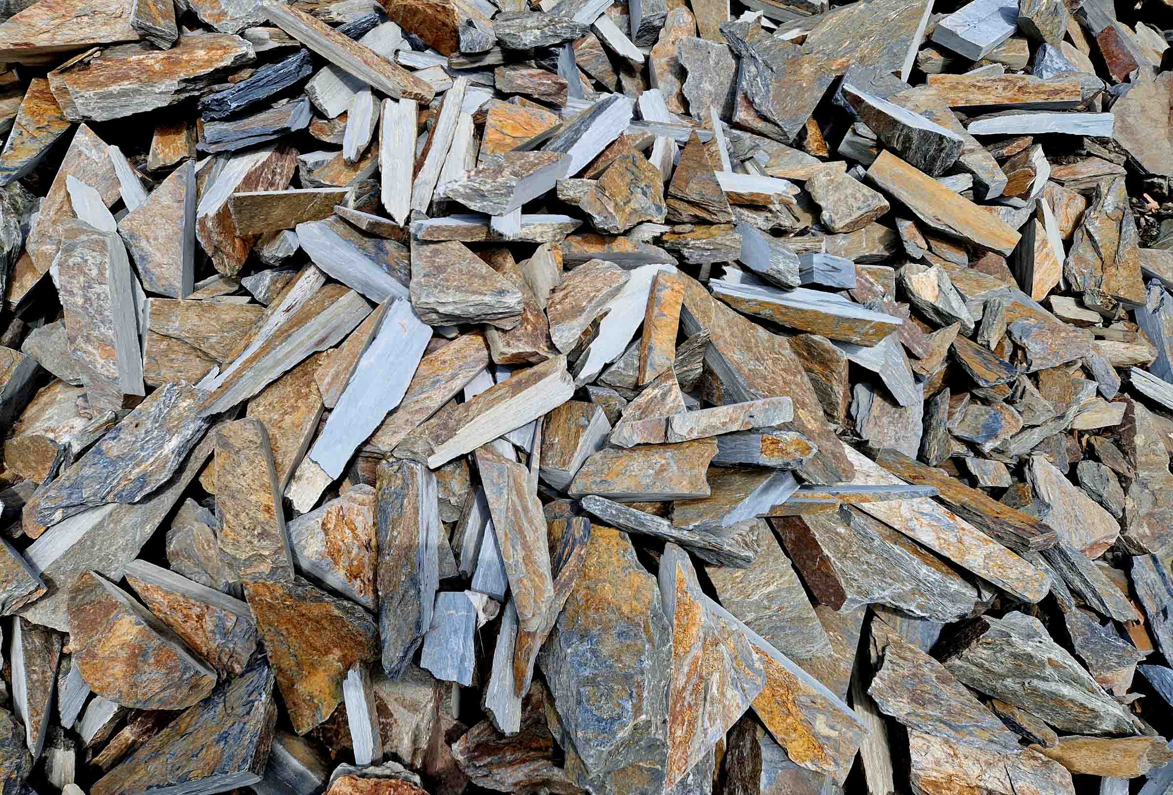 Obrzyn kamienny - obrazek 2