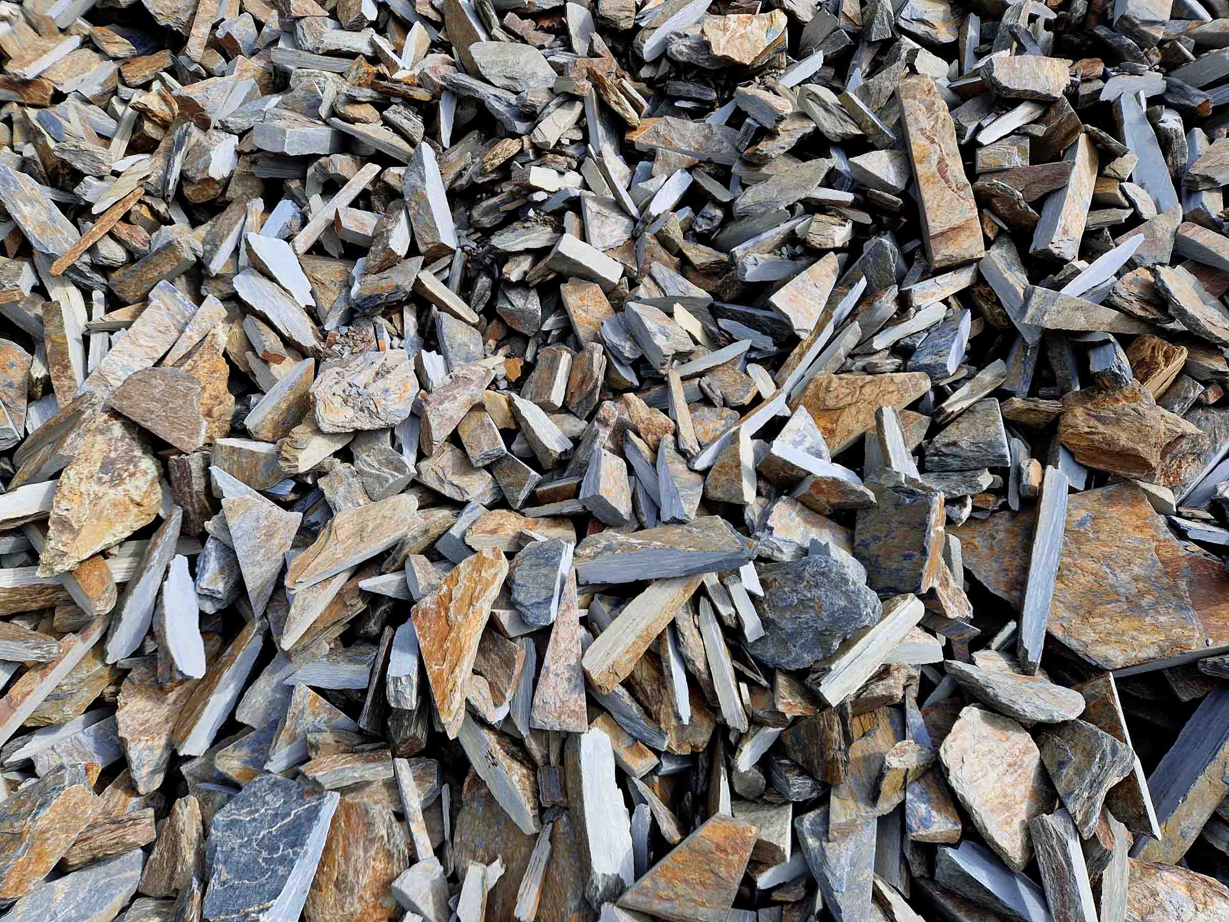 Obrzyn kamienny - obrazek 3