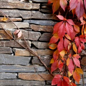 Kamienny bloczek elewacyjny