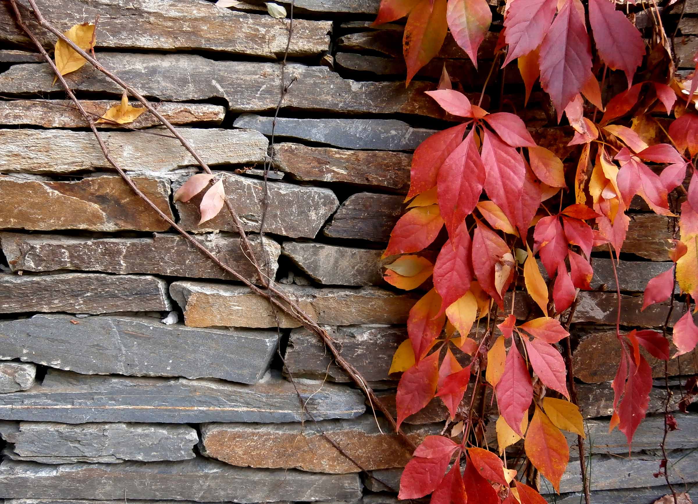 Kamienny bloczek elewacyjny